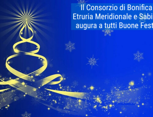 Buone festività natalizie e un sereno e felice anno nuovo!!!